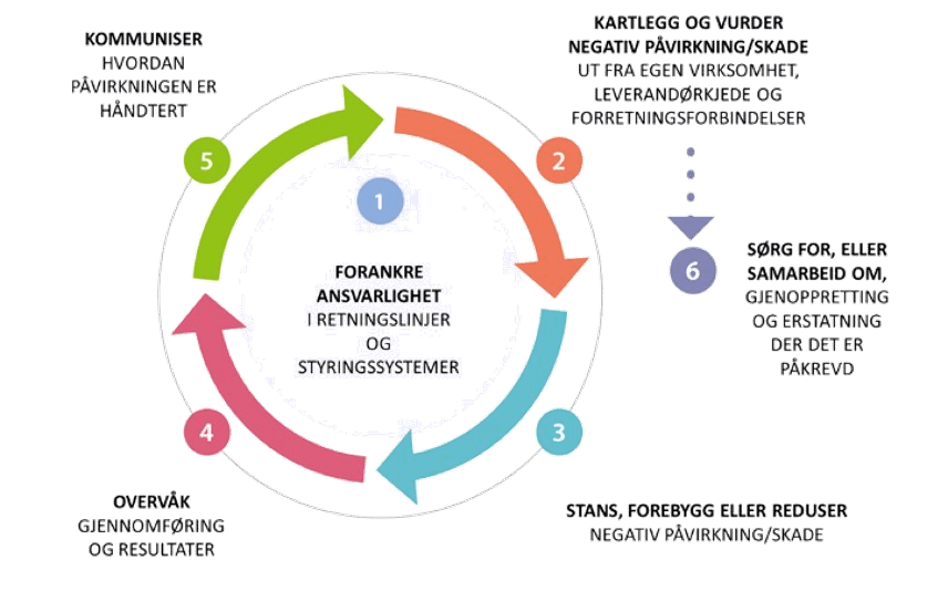 OECD modell for aktsomhetsvurdering